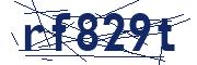 captcha-img